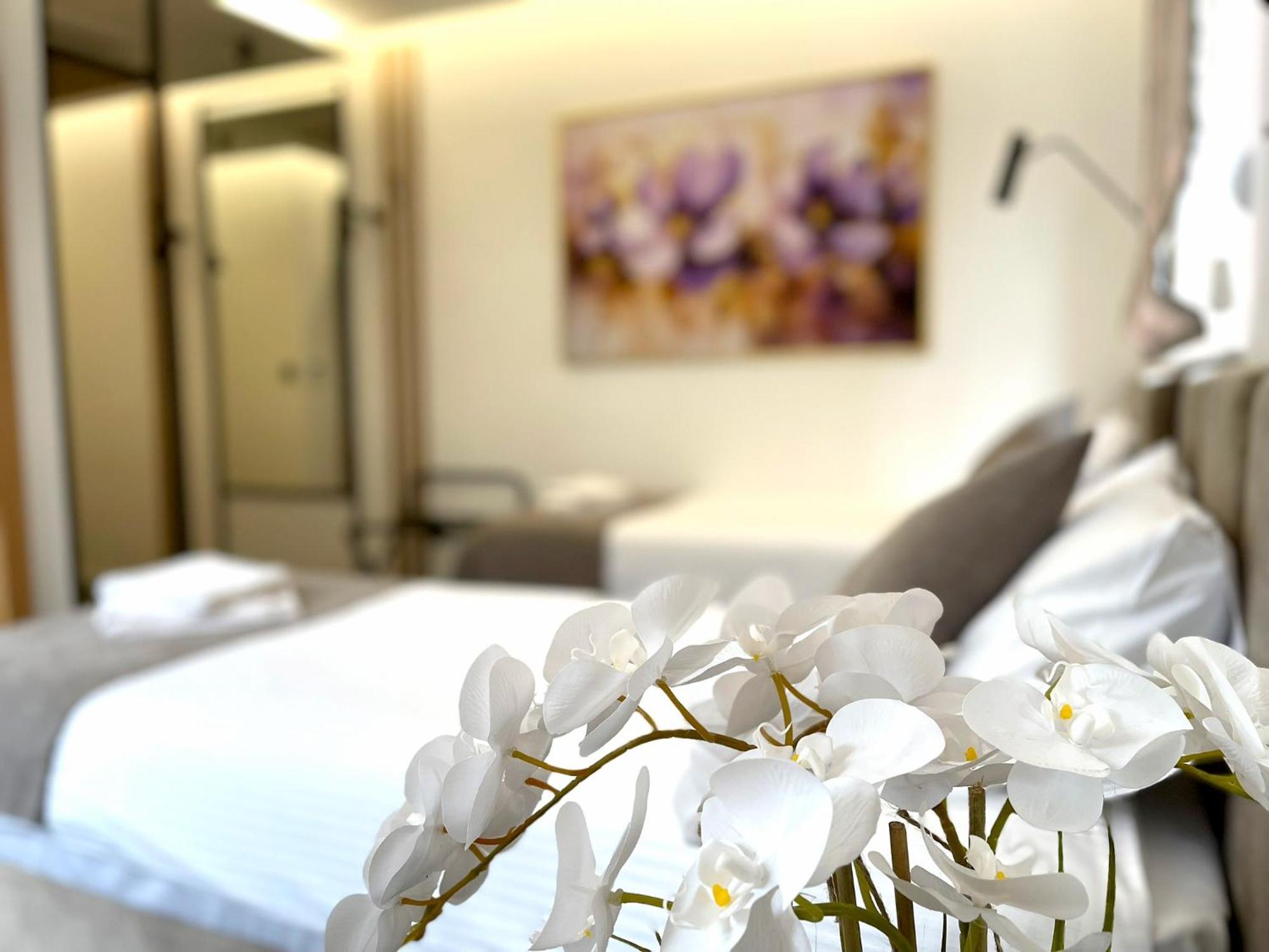 Hotel Npl Code Naselje Starosjedilaca Esterno foto